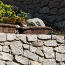 img.: Supporting stone wall 